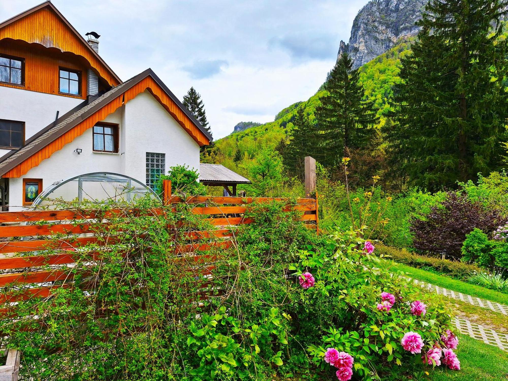 Ingreen House Bohinjska Bela Exterior foto