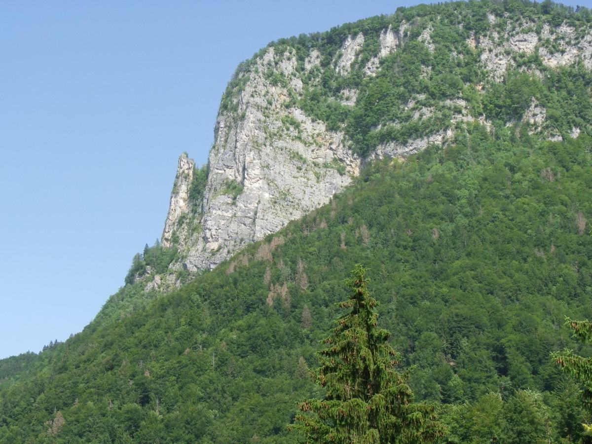 Ingreen House Bohinjska Bela Exterior foto